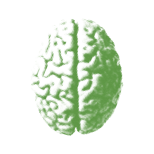 Your Paragraph Text 4