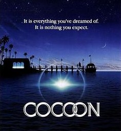Cocoon 1